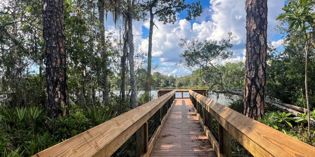 Carl Duval Moore State Forest_Wooden Boardwalk_Putnam County_Brandy Jo Hastings_ Carl Duval Moore State Forest_Wooden Boardwalk_Putnam County_Brandy Jo Hastings_