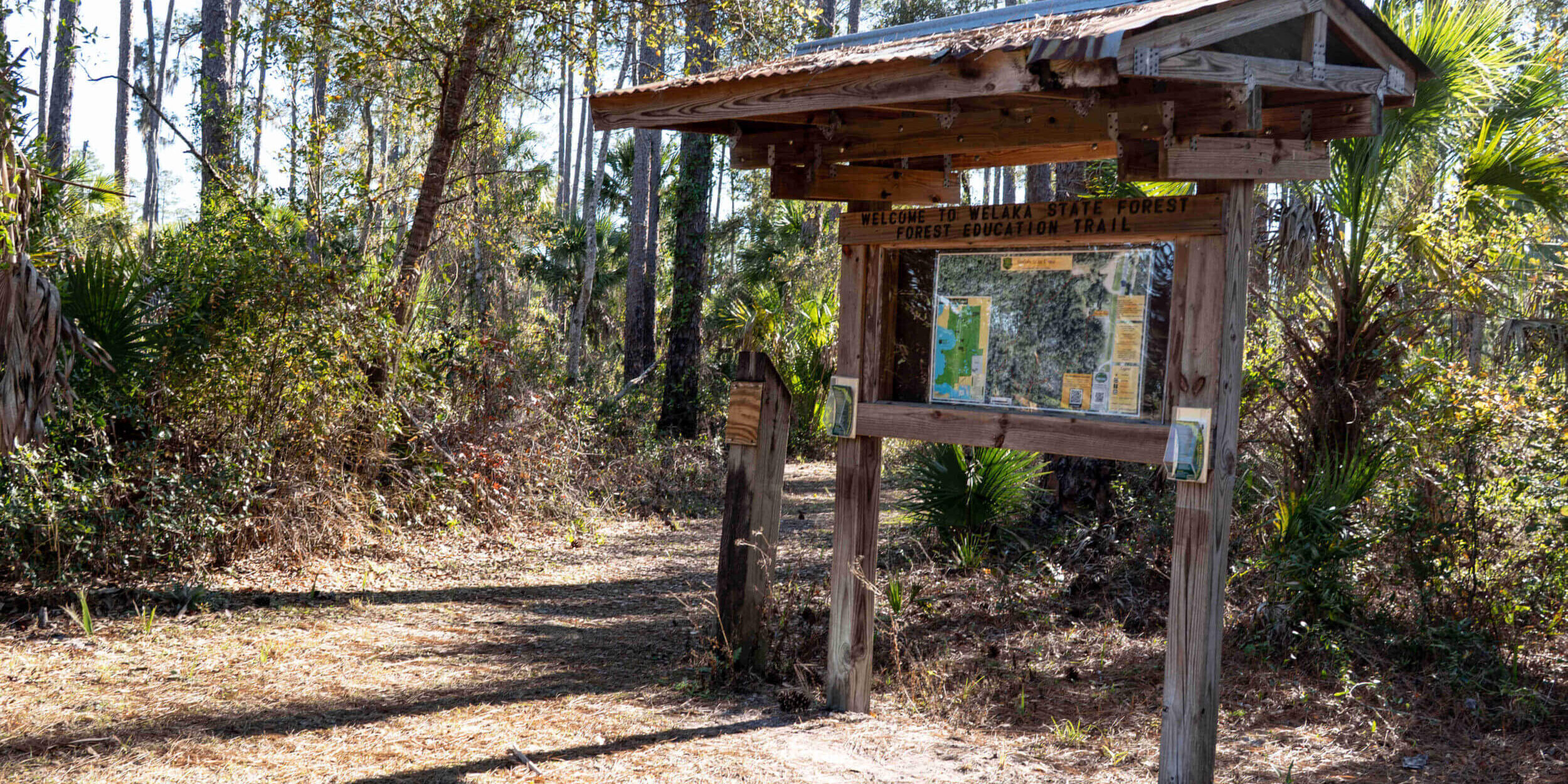 Forest Education Trail Kiosk and Trailhead_Welaka State Forest_WelakaFlorida_Putnam County_Brandy Jo Hastings (1 of 1) Forest Education Trail Kiosk and Trailhead_Welaka State Forest_WelakaFlorida_Putnam County_Brandy Jo Hastings